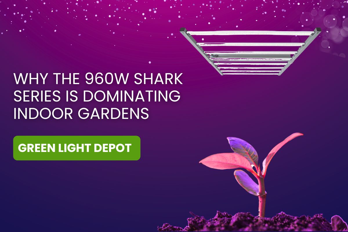 Best Grow Light of 2025: Why the 960W SHARK Series is Dominating Indoor Gardens