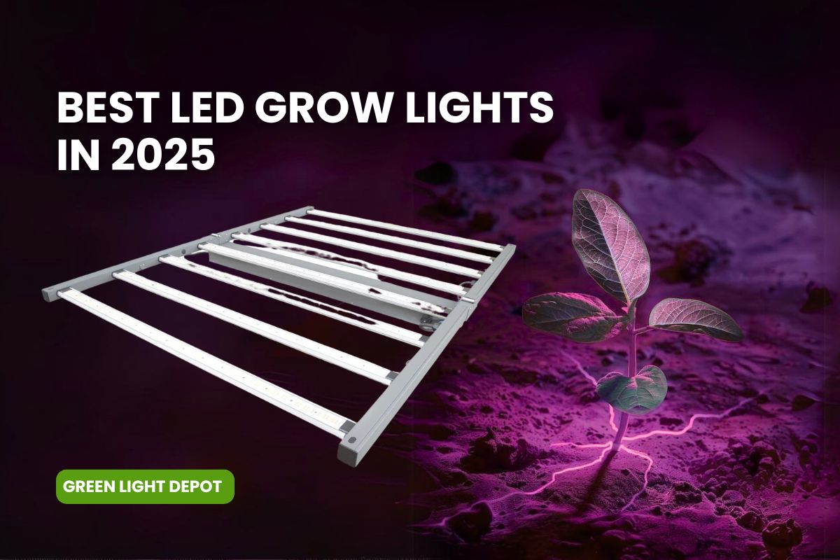 Ultimate Guide to the Best LED Grow Lights for Indoor Gardening in 2025