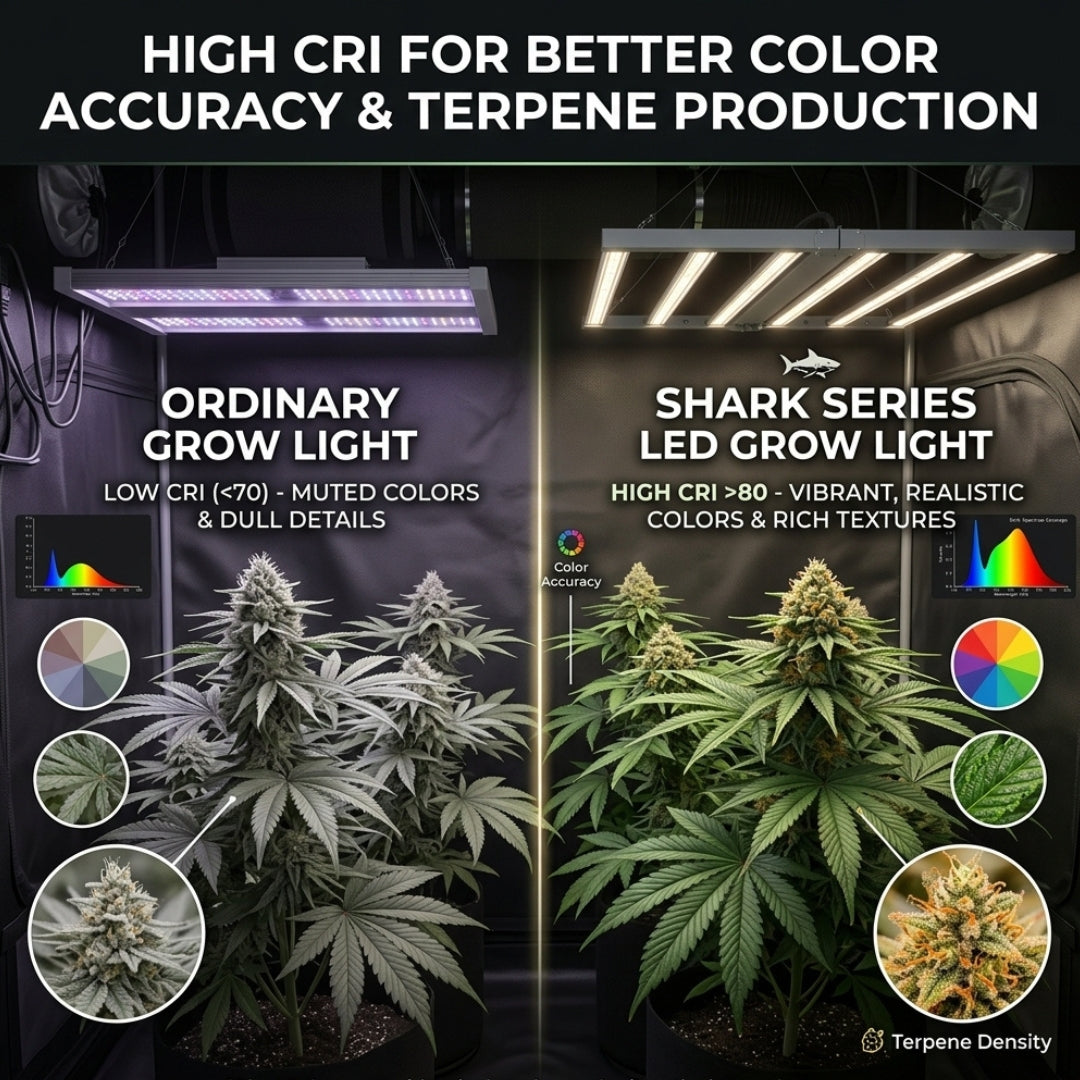 960W LED Grow Light - Shark Series Full Spectrum Commercial Grow Light