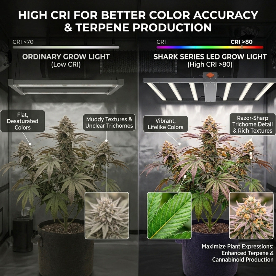 LED Grow Light 660W Shark Series | Full Spectrum Commercial Indoor Growing Light