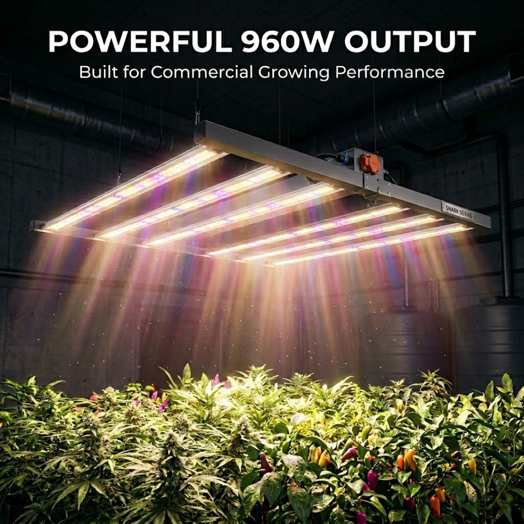 960W LED Grow Light - Shark Series Full Spectrum Commercial Grow Light