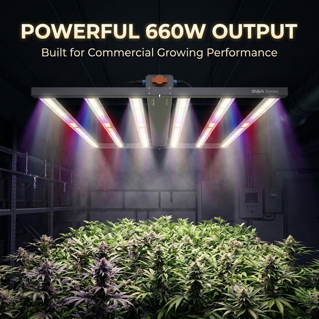 LED Grow Light 660W Shark Series | Full Spectrum Commercial Indoor Growing Light