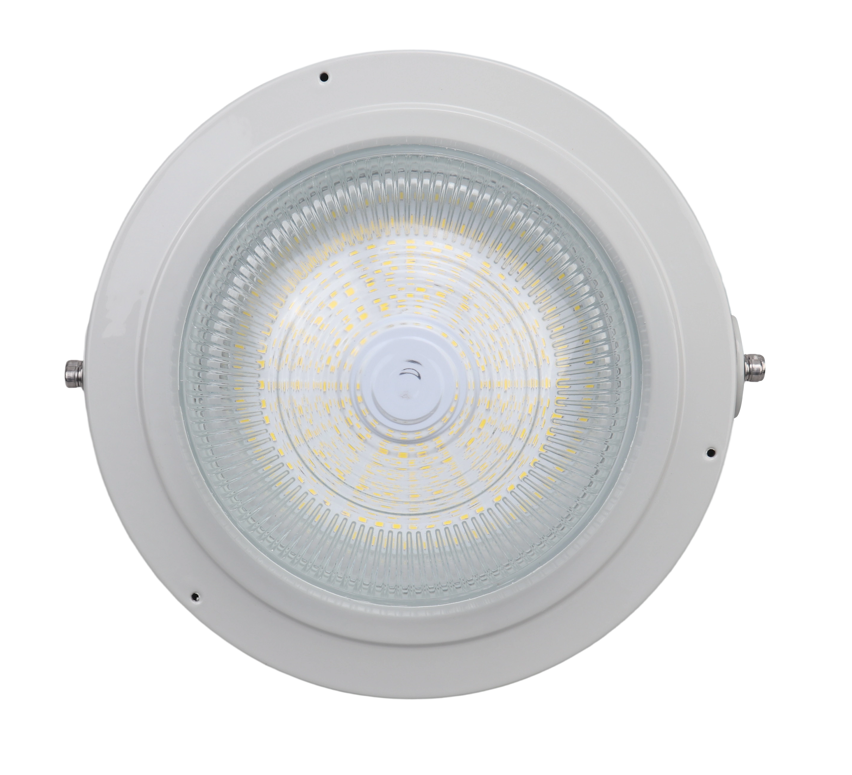 60W LED Explosion Proof Light – 5000K – AC100-277V – Clear Striped Glass Globe – Industrial Hazardous Location Fixture