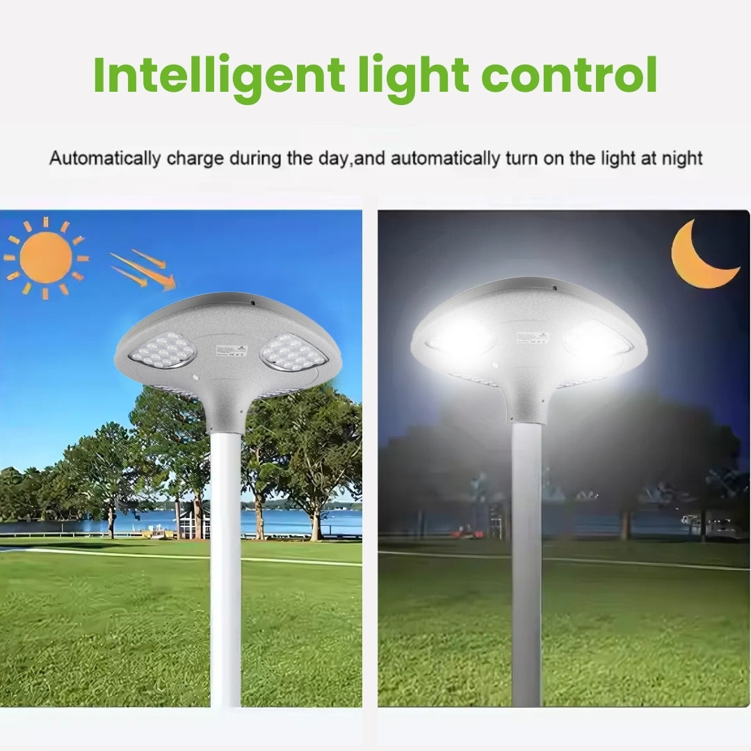 2000 Lumen Solar Post Top - LED Pathway And Street Light