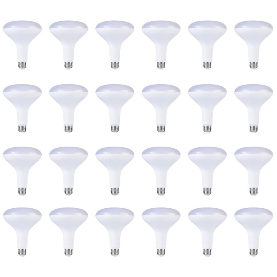 LED Bulb BR40