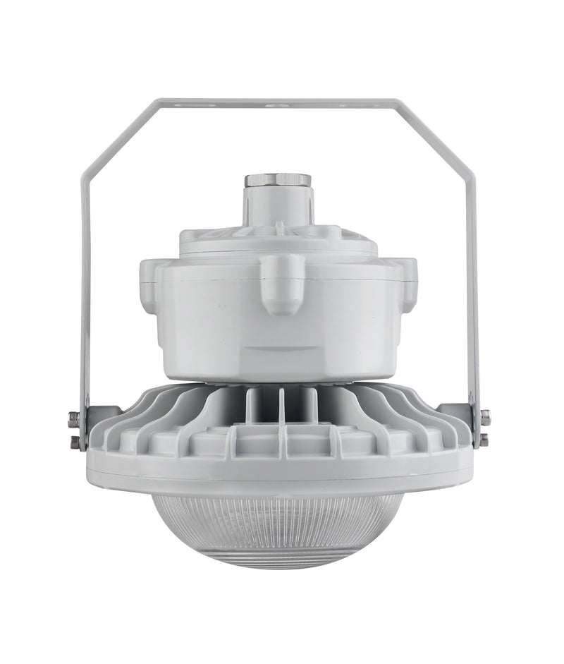 Wire Guard for 60W LED Explosion Proof Light for Class I Division 2 Hazardous Locations - 7400 Lumens - 175W HID Equivalent